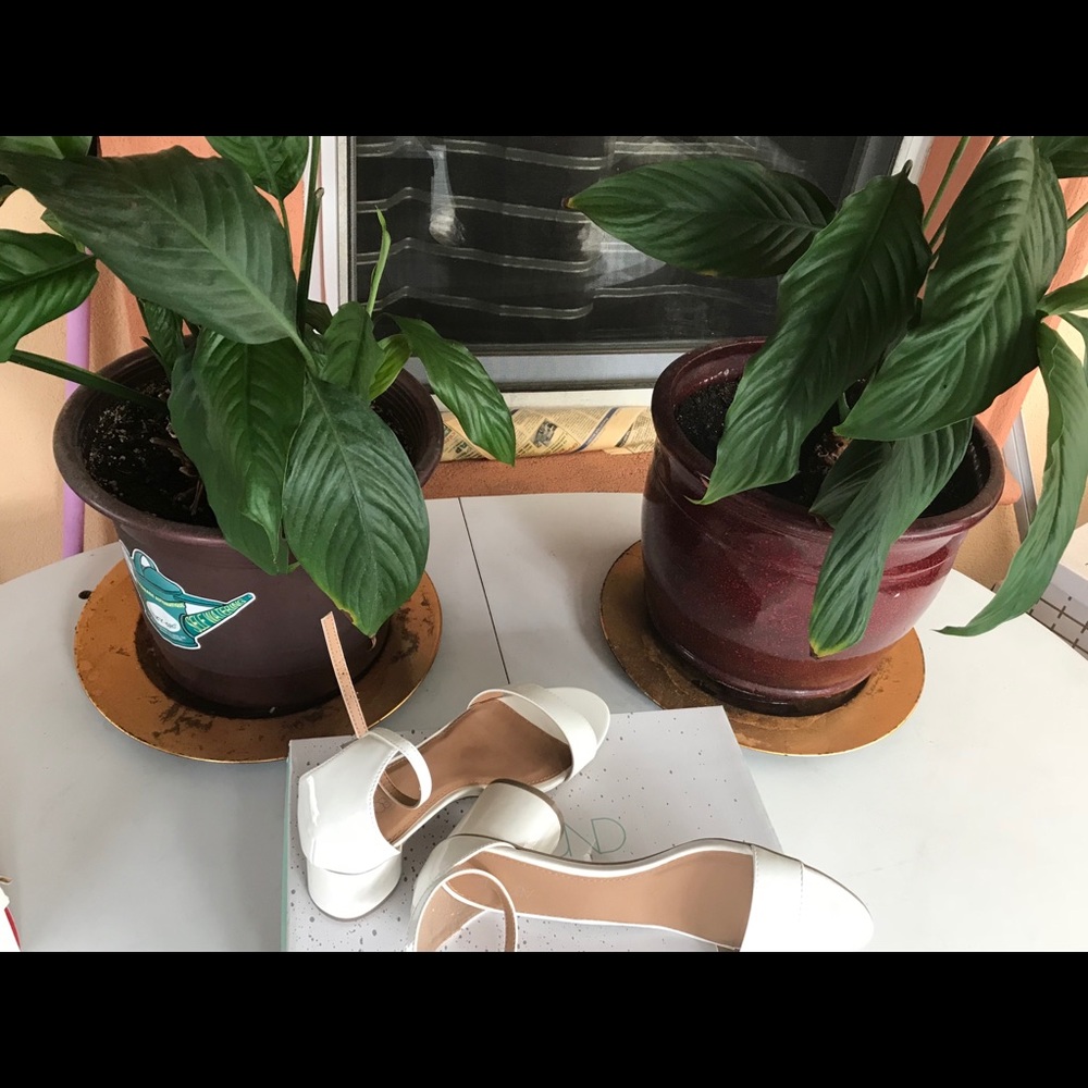 Sandals - Picture 3 of 5